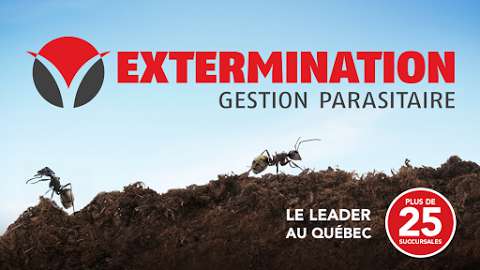 V Extermination Trois-Rivières - Gestion Parasitaire